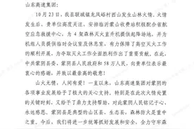 山东高速可以起降飞机？实锤了图片