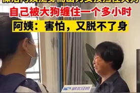 “保洁员被狗纠缠”进展：社区将处理大狗，主人说提水果牛奶道歉图片