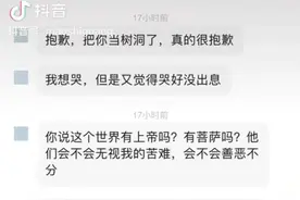 北京救猫的书生走了，他的100只猫还在......图片