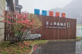 一天一成语：皮里阳秋图片