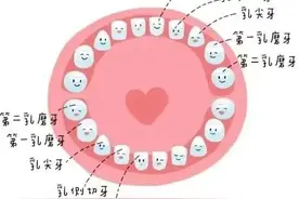 儿童的牙齿麻烦图片