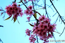 律师在法庭的定位图片