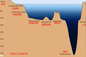 海底是怎样的图片
