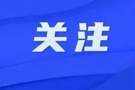 2023年河南省普通高招分数段统计表出炉！图片