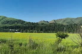 你知道为什么新疆人把内地人叫口里人吗？图片
