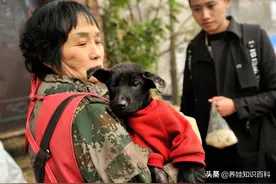 婆婆编瞎话的功夫，真的张口就来，老实的儿媳妇一点办法也没有图片