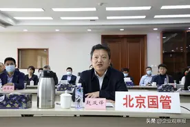 中国版淡马锡浮出水面图片