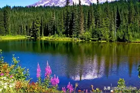 加拿大直飞回国 多条航线特价图片