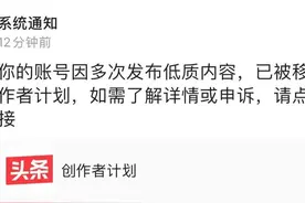 关于被移出创作者计划后，另起炉灶这件事图片
