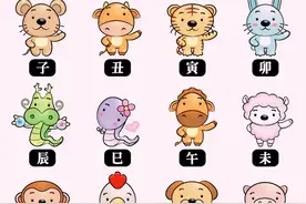 何为三会局 三合局 六合局 方法简单图片