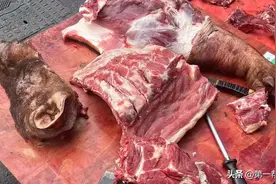 不要买！路边兜售的“野猪肉”来源不明，可能是配种用的公猪肉图片