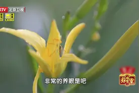 想补脑，别光吃核桃了！它才是补脑第一菜，百岁老人都爱吃图片
