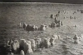 死海喜忧录图片