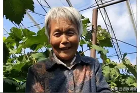 公主岭市大岭镇黄花村李姥姥过上了一个最美的中秋节图片