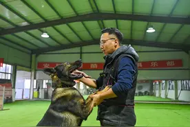 我在快手当训犬师：仅训犬年流水400万，带火当地宠物行业图片