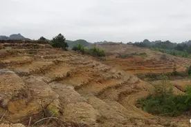 “退林还耕”3年：几家欢喜几家愁！荒山、荒坡成了抢手资源图片