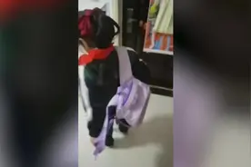 河南三门峡：怀孕狗狗坚持接送被罚独自上学的小女孩图片
