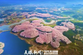 送给你，贵安樱花海的最美瞬间图片