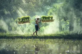 诗词中的清明图片
