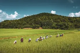 户口不在农村，想回农村老家养老，可以建房养老吗？图片