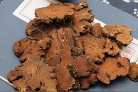 气滞血瘀危害多！川穹+当归，补血不留瘀图片