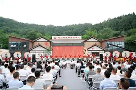 成都市第五届乡村振兴“十大案例”评选结果揭晓图片