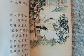 与校注的高水准相比，这套书更为人所称道的是它的装帧设计和插图图片