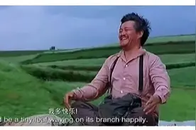 内娱敢说“没代餐”的男人，就他一个图片