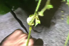 很多事情我们一看一聊就知道怎么回事了😂希望大家都能平平...图片