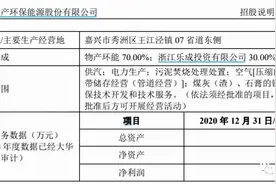 潜伏在国有控股企业中的小股东有多爽？IPO中的物产环能很有看点图片