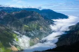 《增广贤文》马行无力皆因瘦，人不风流只为贫图片