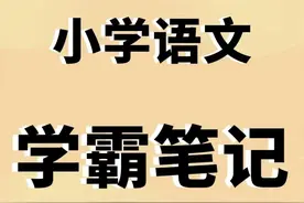 期末复习必备！小学语文《学霸笔记》（共279页）免费领取图片