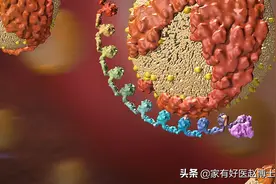 如何客观看待脂蛋白a升高带来的风险？能否“抵消”这种危害？图片