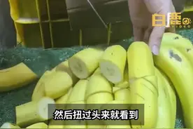 4岁男孩割坏水果店香蕉，妈妈引导其道歉并买下坏香蕉：必须要为他的错误买单图片