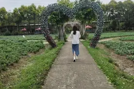 或许记不住，或许忘不掉图片