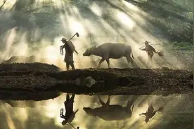 独处，可得人间清欢图片