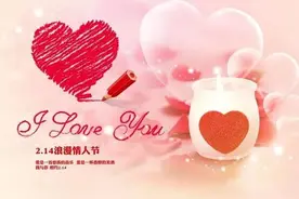 每日一花之“玫瑰”图片