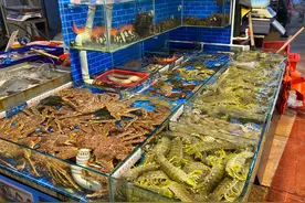 八市海鲜卧虎藏龙，老牌酒店大厨坐镇，现做农家姜母鸭好味道！图片