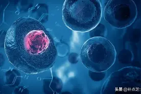 细胞因子受体有哪些结构？细胞因子受体还有哪些其它形式？图片