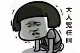 网友大人们骂错对象了，麦田里面铺红毯不是政府干的图片