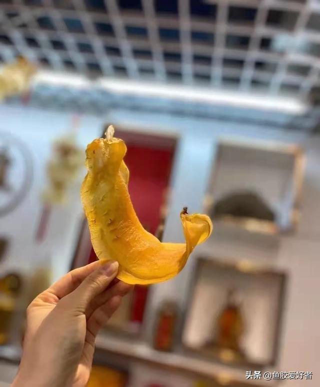 野生小赤嘴胶好不好 2026年小赤嘴胶的功效