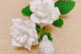 钩针花卉-茉莉花（附图解教程）图片