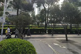 人在深圳纪实·关内关外图片