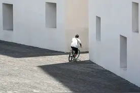 “深大，开放了”图片