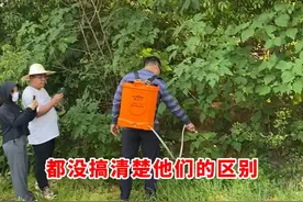草铵膦和草甘膦到底有什么区别？这个视频一次给你讲明白！...图片