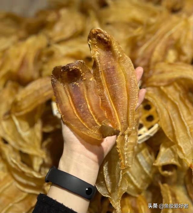 花胶瘀血 2026年花胶活血化瘀吗
