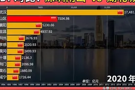 浦东新区、南山区谁才是国内第一区图片