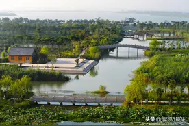 运河近镜头|运河名镇——夏镇（十二）图片