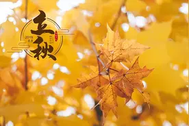 明日立秋，老人说“3菜不上桌，福气不进门”，3菜是啥，咋做好吃图片
