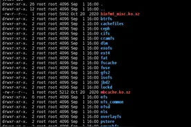 Linux系统如何挂载exFAT分区图片